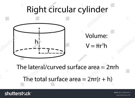 Total Surface Area Of A Right Circular Cylinder | Detroit Chinatown