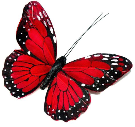 Red Butterfly 3D Wallpapers - Top Free Red Butterfly 3D Backgrounds ...