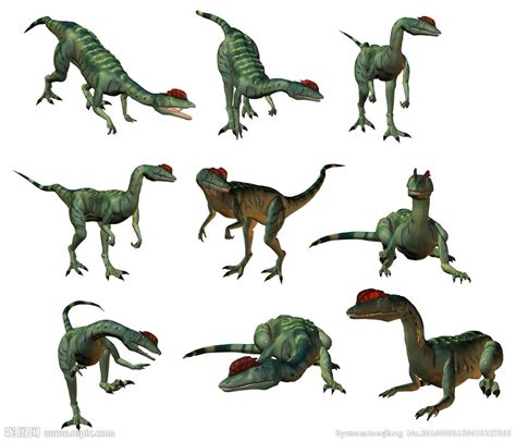 史前巨鸟_恐龙图片_恐龙图库恐龙品种图片大全，恐龙复原图高清恐龙图片大图下载