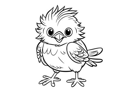 Bird Coloring Pages For Kids