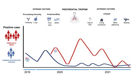 Infection Rate of Respiratory Viruses in the Pandemic SARS-CoV-2 Period ...