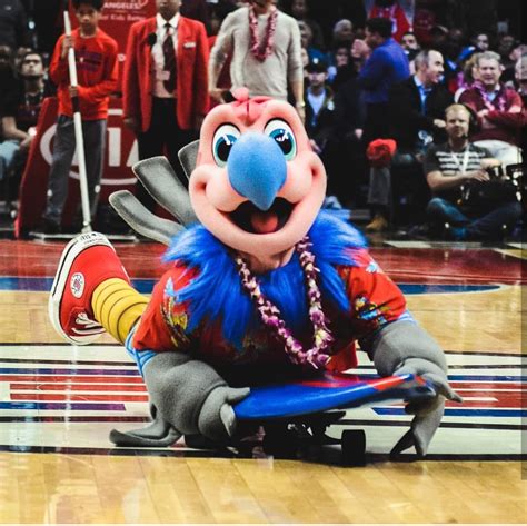 Photos: Meet Chuck, the LA Clippers Mascot Photo Gallery | NBA.com