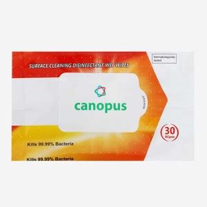 Canopus Disinfectant Wet Wipes Price in India - Buy Canopus ...
