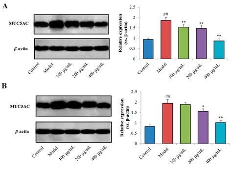 Purification, Characterization of Two Polysaccharides from Pinelliae ...