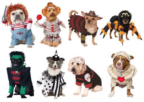 Picture Perfect Dog Costumes to Treat Your Furry Friends [Costume Guide ...