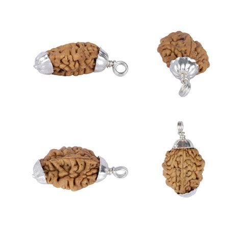 2 Face Rudraksha Bead Pendant | South Rudraksha Bead/ Silver Cup Rudra ...
