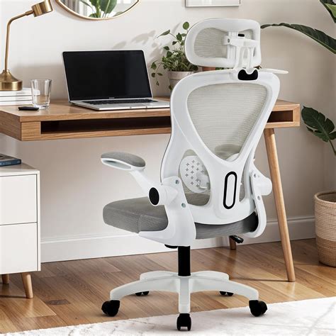 DROGO Ergonomic Office Chair for Work from Home with Breathable Mesh ...