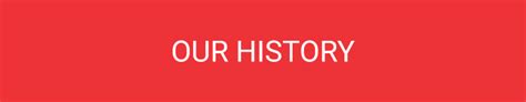 Our History | Nesstech Instruments Pvt. Ltd.