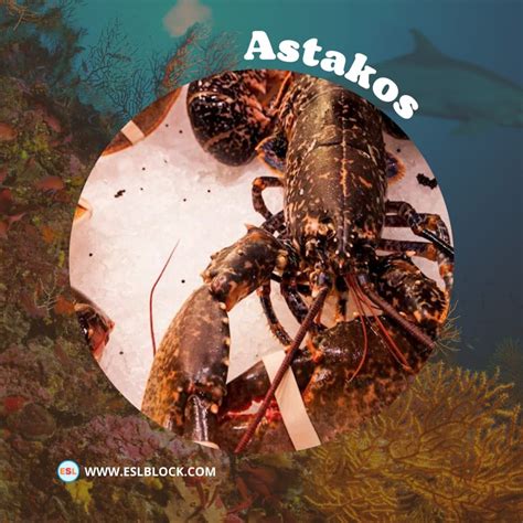 Shellfish Spanish Word at Ruby Black blog