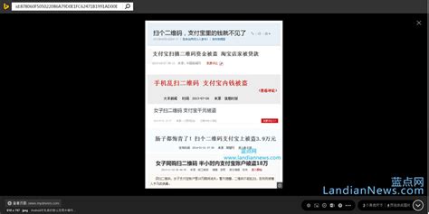 Bing 图片识别 的图像结果