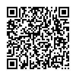 寒武纪年app下载-寒武纪年官方免费下载-寒武纪年0.0.66 官方版-PC下载网