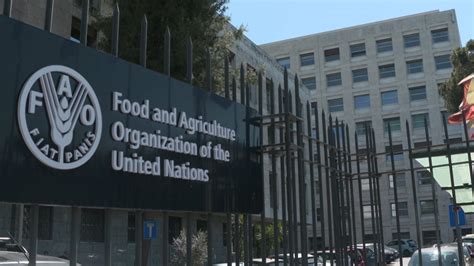 Headquarters Of Food And Agriculture Organisation