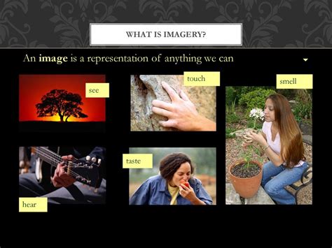 Image result for What Is an Image and Example