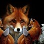 Image result for Super Cute Baby Foxes