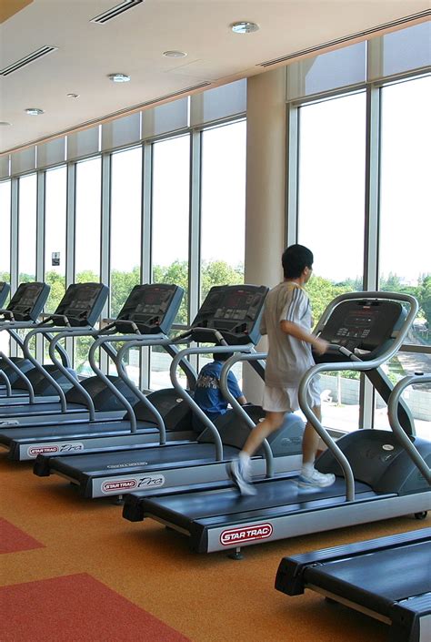 Sports Club 的图像结果