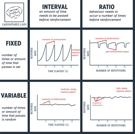 Schedules Of Reinforcement Worksheet - Printable And Enjoyable Learning