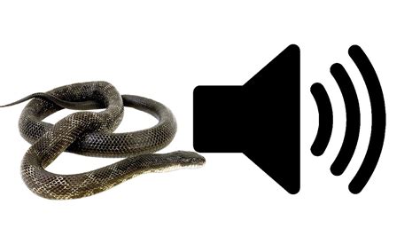 Image result for Alien Hiss Sound