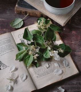 coffee aesthetic, coffee and book aesthetic - image #6612939 on Favim.com