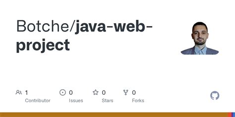 Java Web Project 的图像结果