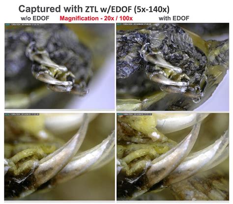 Depth Of Field Examples — Dino-Lite Digital Microscope | Americas