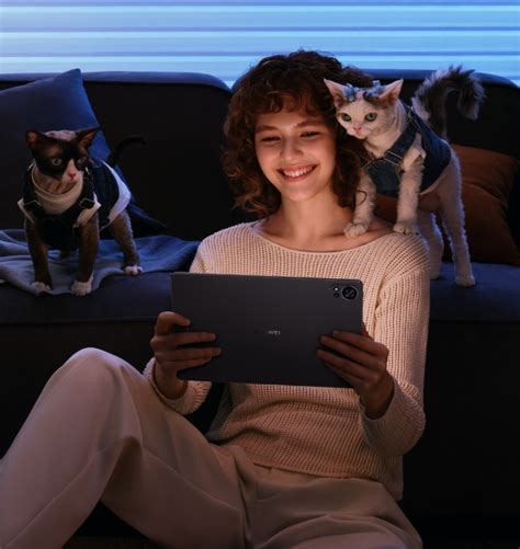 Huawei Tablet Computer 的图像结果