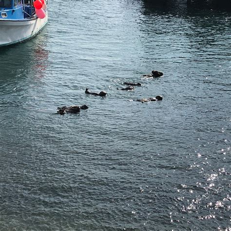 MORRO BAY WATERFRONT GRILL - Restaurant Reviews & Photos - Tripadvisor
