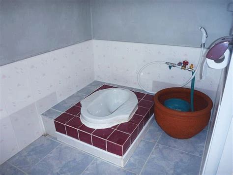 印度：几亿人上不惯厕所，这事儿该怎么破？|印度人|印度_新浪科技_新浪网