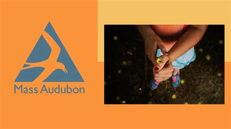 Lightning Bug Light Show with Mass Audubon - The Mount | Edith Wharton ...