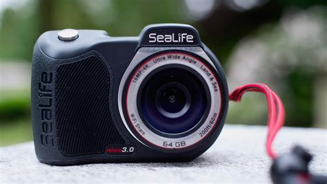 Camcorder 的图像结果