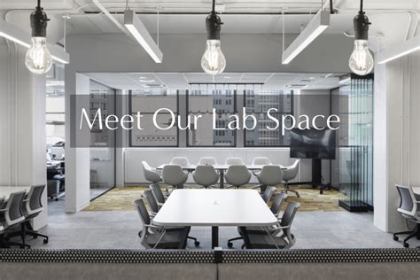 Image result for Concept Fox Lab GBC Lab Victor Lab