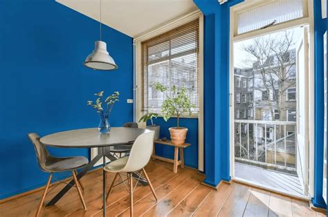 Behr Brilliant Blue P510-6: 23 real home pictures
