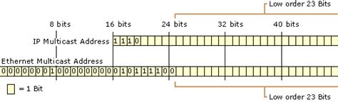 Image result for Mac Address Example