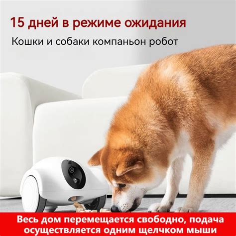 Умный робот-компаньон для домашних животных/Удаленный мониторинг/Подача ...