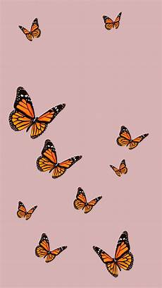 Orange Butterfly Wallpaper Vsco by Credit Cali Kessy Disneyphonebackgrounds In 2020 Orange Butterfly Wallpaper Vsco