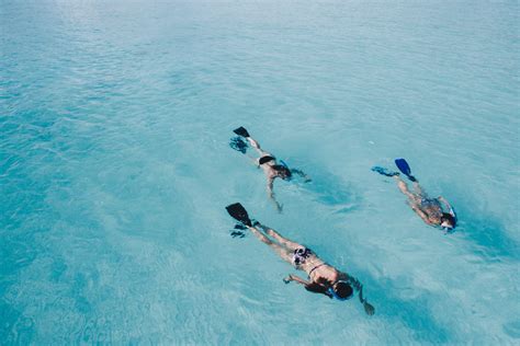 A Guide to Snorkeling in Destin | Crab Island Watersports