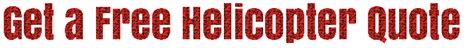 Mr Pilot Online Booking – Enquiry form for India Tour