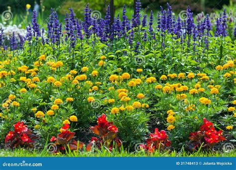 Red And Yellow Flowers In Landscaping
