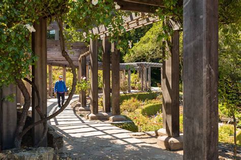 Berkeley Rose Garden Renovation