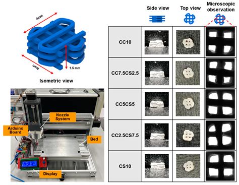 Development of 3D Printable Calcium Phosphate Cement Scaffolds with ...