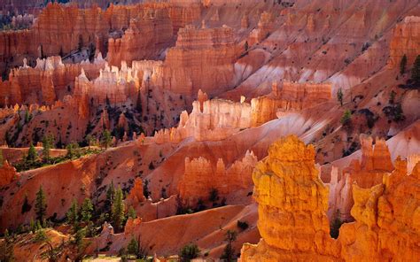 grand canyon quotes