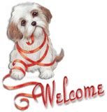 Image result for Pygame Tutorial Displaying Text