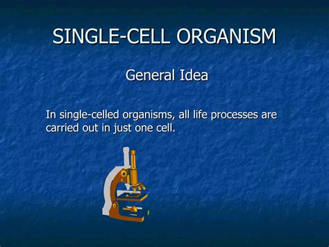 Single-celled Organism | PPT
