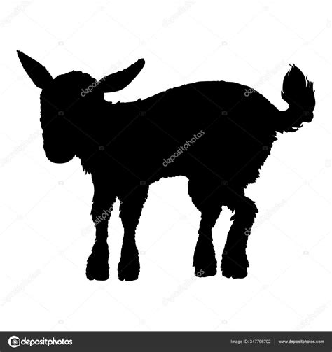 Image result for Best WA. Some Python Projects