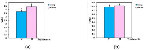 Light Energy Use Efficiency in Photosystem II of Tomato Is Related to ...