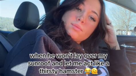 The Thirsty Hamster Sunroof Thing / Hamstering | Know Your Meme
