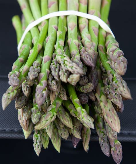 Can Dogs Eat Asparagus? Vet's Insights