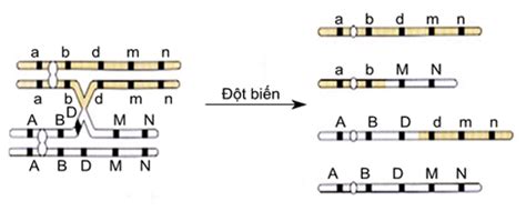 Image result for Test Driven Development Anti-Patterns Chain Gangs Example