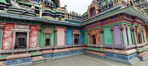 Explore Konaseema: Nature's serenity meets spirituality in Andhra ...