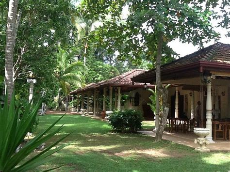 DEDDUWA BOAT HOUSE BY JETWING (Bentota) - Hotel Reviews, Photos, Rate ...