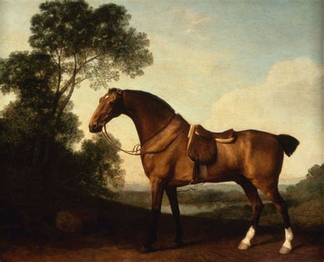 A Saddled Bay Hunter - George Stubbs Horse Painting - Art Prints by ...